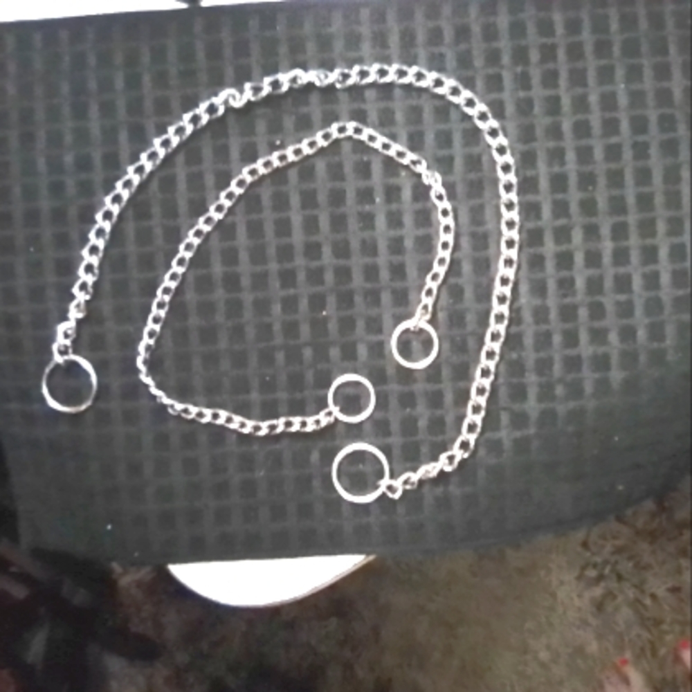 Metal dog collars